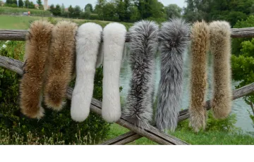Fox Cap Edge