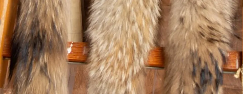 Murmasky / Finnracoon Hood Edge