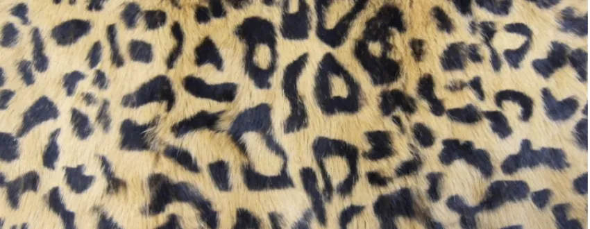 Fur Printing