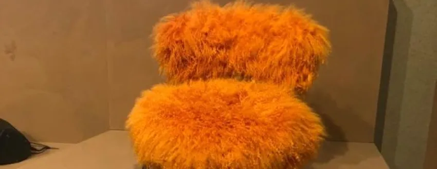 Fur Cushions and Chair Covers