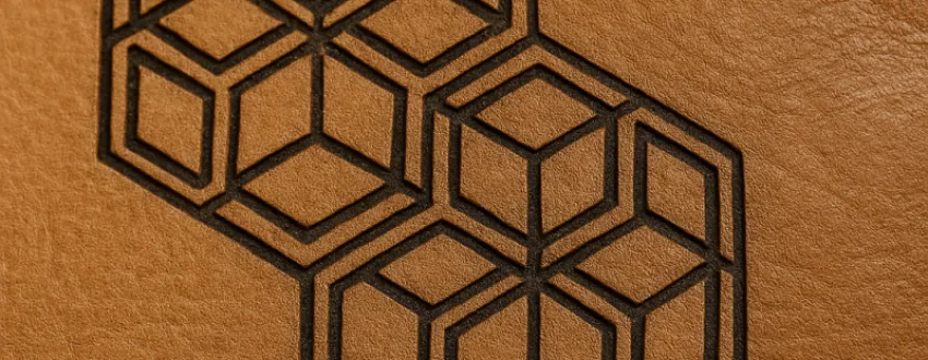 Lasering on Skins and Cloths